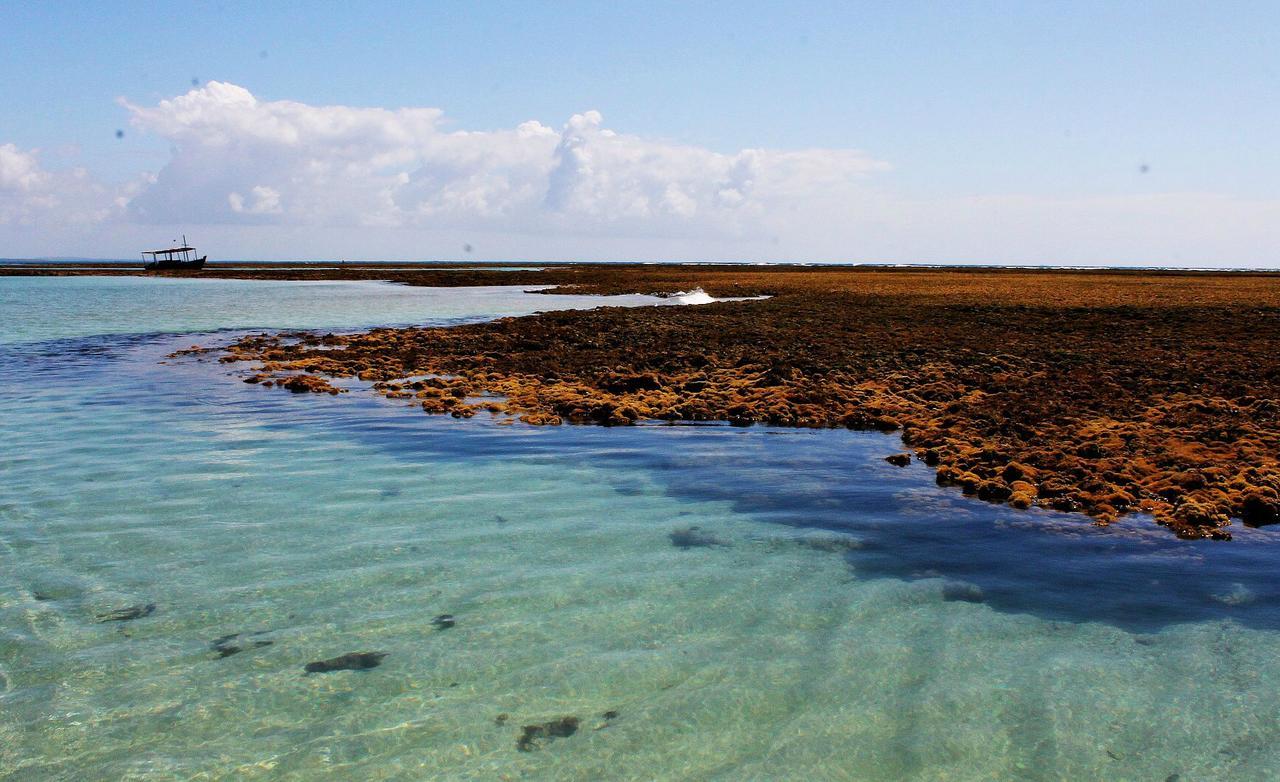 Pousada Casanossa Boipeba Island Exterior photo