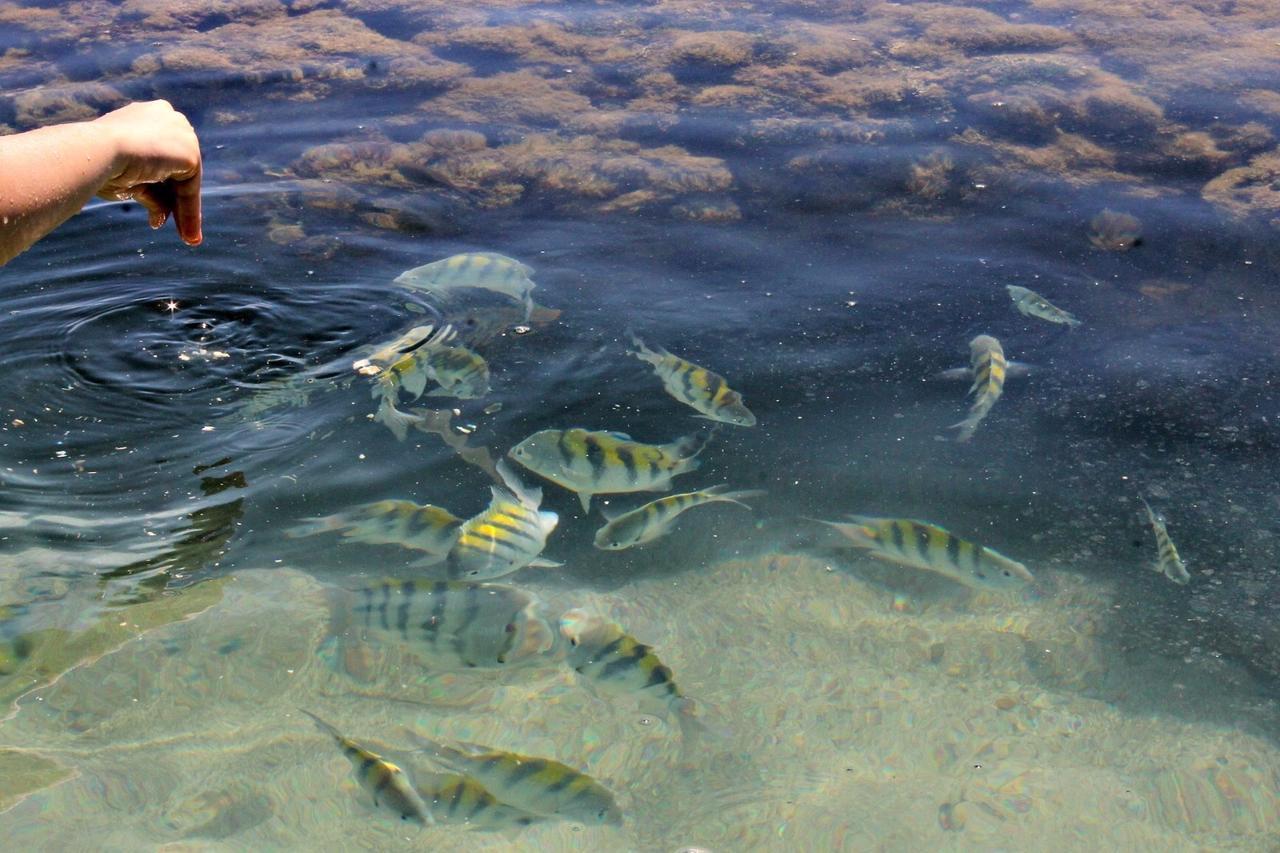 Pousada Casanossa Boipeba Island Exterior photo