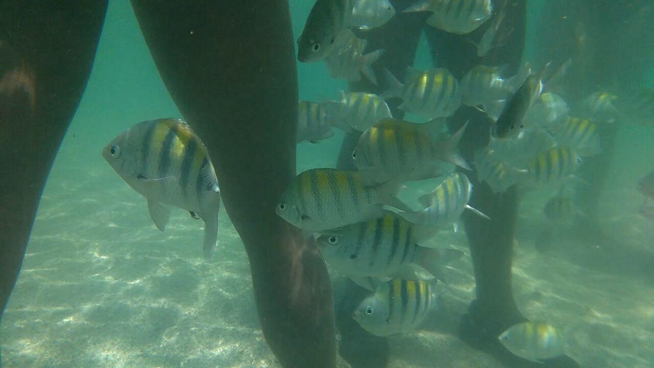 Pousada Casanossa Boipeba Island Exterior photo